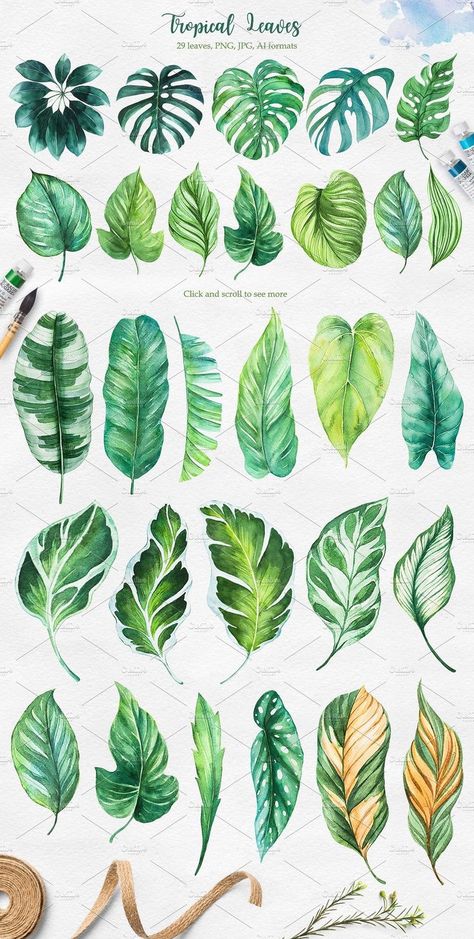 Exotic Paintings, Tropical Watercolor, Plant Painting, 수채화 그림, Leaf Wall Art, Watercolor Illustrations, Painted Leaves, Watercolor Leaves, Plant Art