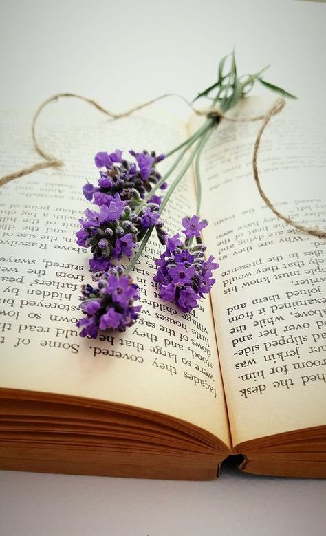 Home Eclectic, Soul Searching, No Electricity, The Soul, Lavender, Electricity, Wallpapers, Books