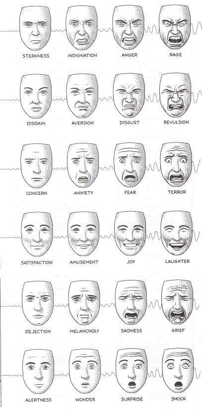 Categories of emotion as defined by facial expressions. It's good knowing this when you have a caricature you're carving. I really enjoy crossing over the lines and mixing two of these together. Facial Expressions Drawing, 얼굴 드로잉, 얼굴 그리기, Drawing Faces, Animal Illustrations, Drawing Expressions, Face Expressions, Art Instructions, Human Face