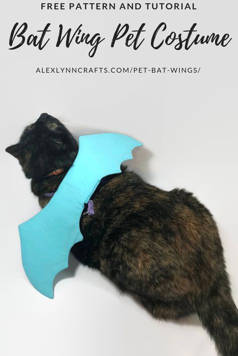 Free Pattern and Tutorial: Bat Wing Costume for Cats and Small Dogs! | Alex Lynn Crafts Cat Costume Sewing Pattern, Bat Wing Pattern, Bat Wings Diy, Diy Bat Costume, Bat Wings Costume, Halloween Costume Sewing Patterns, Cat Costume Diy, Halloween Sewing Projects, Bat Animal