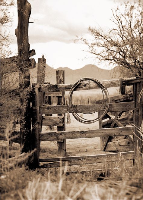 Old Country Aesthetic, Cowboy Background, Country Backdrop, Fence Backdrop, Fence Photography, Background Country, Bison Photo, Cowboy Photography, Country Fences