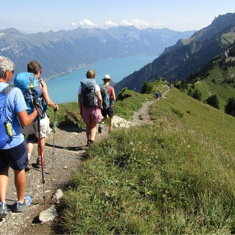 🗻✨ On our Switzerland Hiking Adventure, join a charged-up group of Wild Women eager to tear up some terrain in the face of granite mammoths. We are rewarded with some serious panoramas from the Schynige Platte and Gemmi Plateau. The mighty jagged-tooth Matterhorn straddles the border of Switzerland and Italy, making the region a magnet for hikers who love the punishing ascents and meadows blurred with alpine wildflowers. 🥾 Link in Bio 🔗 Discover Swiss charm like never before. Don't miss out... Alpine Wildflowers, Switzerland Hiking, Hiking Adventure, Wild Woman, The Mighty, Switzerland, Wild Flowers, The Face, Link In Bio