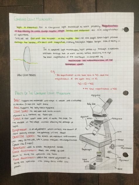 Microscope Notes Part II-Cells Inspired by studytee on YouTube Yellow is important Purple is important people Orange is vocab AND pink is defintions Microscope Notes Biology, Lab Report Aesthetic, Microscope Notes, Medtech Notes, Botanical Academia, Microbiology Notes, Study Physics, Microbiology Study, Life Organization Binder