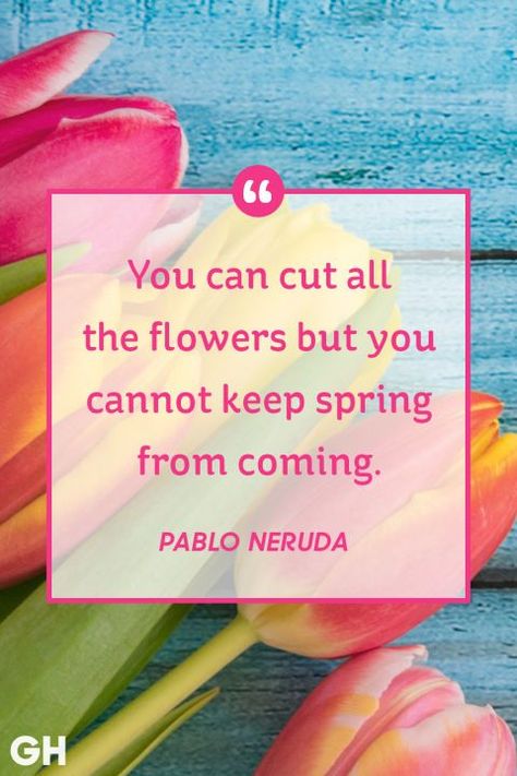 See some beautiful and inspiring Easter Memes at MakeItGrateful.com - #happyeaster #easterday #easterblessings #makeitgrateful #easter #memes #inspiring #inspirational Spring Messages, Easter Memes, Easter Inspirational Quotes, Spring Message, Gardening Quotes, Easter Quotes, Beautiful Thoughts, Easter Blessings, Pablo Neruda