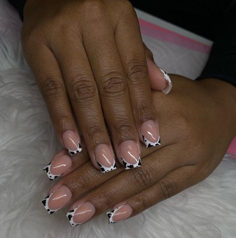 Short square nails with cow print French tips Cow Print French Tip Nail Ideas, Cow French Tip, Cow Print French Tip Nails, Short Cow Print Nails, Cow Print French Tips, Nails With Cow Print, Tip Nail Ideas, French Tip Nail Ideas, Short French Tip