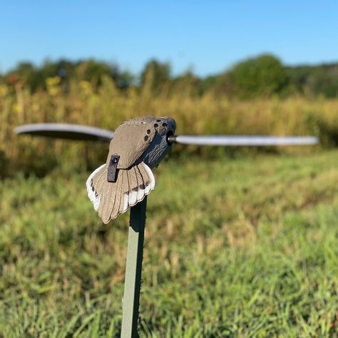 How to Dove Hunt – My First Dove Hunt Being Popular, Camouflage Clothing, Dove Flying, Dove Hunting, Hunting Trip, Fall Feels, Sunflower Fields, Deer Hunting, Camouflage