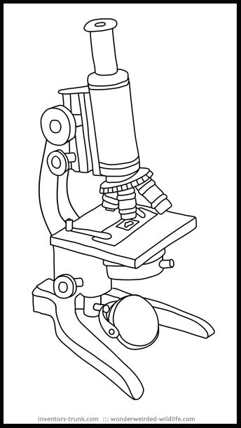 Electron microscope clipart #1 Compound Light Microscope Drawing, Compound Microscope Drawing Easy, Light Microscope Drawing, Compound Microscope Drawing With Label, Compound Microscope Drawing, Microscope Drawing Easy, Microscope Drawing With Label, Microscope Sketch, Microscope Aesthetic