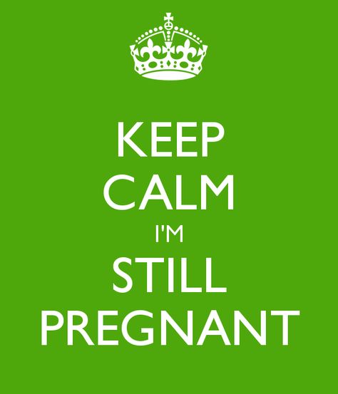 Pregnant Humor, Overdue Pregnancy, Cleanliness Quotes, Law School Humor, Pregnancy Memes, Decoupage Printables, Pregnancy Signs, Pregnancy Quotes, Pregnancy Safe Products