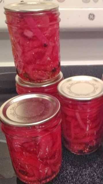 Make Pickles, Pickled Red Onion, Red Onion Recipes, How To Make Pickles, Canning Pickles, Canned Food Storage, Pickle Recipe, Water Bath Canning, Homemade Pickles