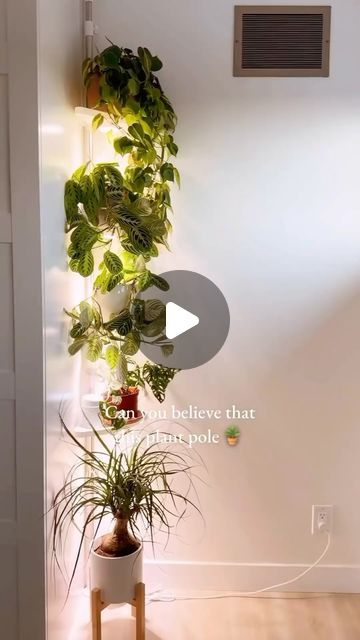 HousePlantSitting.com on Instagram: "Turn your shower caddy into plant shelving! #plantshelves #plantshelf #plantshelving #plantcaddy #plantcare #planttips #plantideas" Shower Caddy Plant Holder, Plant Shelving, Plant Parenting, Indoor Ideas, Plant Mama, Flower Tower, Plant Care Houseplant, Chill Room, Plant Hacks