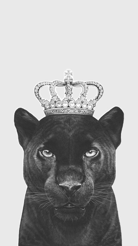 Black Panther Aesthetic, Panther Aesthetic, Black Panther Cat, Panther Cat, Partner Yoga, Embroidery Tshirt, Vogue Covers, Shine Bright Like A Diamond, Black And White Aesthetic