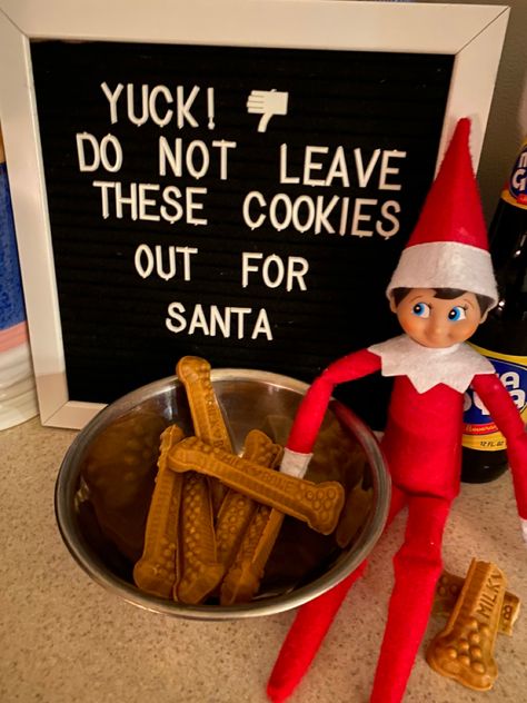 Elf On The Shelf Dog Treats, Elf On The Shelf Making Cookies, Elf Eating Cookies, Introducing Elf On The Shelf Pets, Elf On Shelf Memes Funny, Dog Cookies, Dog Treats, Elf On The Shelf, Elf