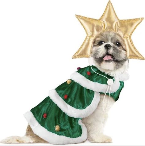 81 of the Best Dog Halloween Costume Ideas for Your Pooch | Brit + Co Dog Christmas Outfit, Christmas Costumes Diy, Best Dog Halloween Costumes, Tree Outfit, Christmas Tree Outfit, Dog Christmas Clothes, Dog Christmas Pictures, Christmas Tree Costume, Cake Dog