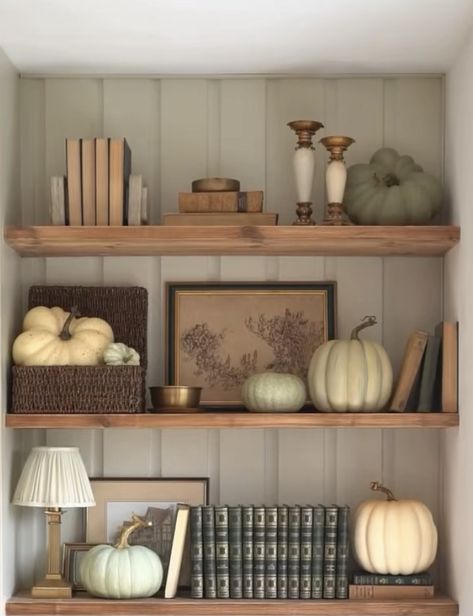 Home Color Schemes, I Make No Apologies, Christmas Styling, Happy August, No Apologies, Bookcase Styling, House Color Schemes, Decorating Shelves, Fall Halloween Decor