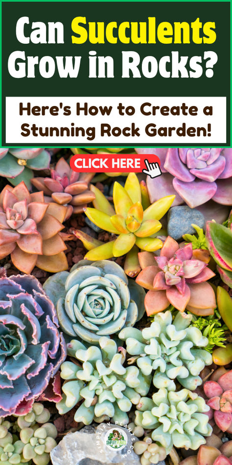 "Discover how to create a stunning rock garden with succulents! Learn if 
succulents can thrive in rocks and the best techniques for a successful 
succulent arrangement. Explore soil drainage tips, gravel planting methods, 
and decorative rockscaping ideas to enhance your xeriscaping design. 
Transform your outdoor space with vibrant rock garden succulents that 
require minimal maintenance. Perfect for any garden enthusiast!" Outdoor Succulent Garden Ideas, Gravel Planting, Succulent Care Indoor, Garden With Succulents, Outdoor Succulent Garden, Care For Succulents, Succulents Care, Succulent Rock Garden, Succulent Varieties