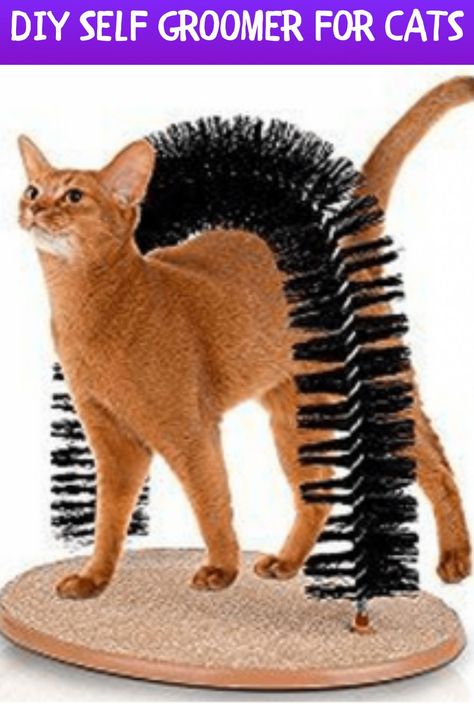 Cat self-groomers are useful tools that can help cats shed loose fur and distribute natural oils throughout its coat. It can also help cats groom themselves if they have mobility issues. Cat Shedding, Cats Pet, Cat Scratching Post, Cat Scratcher, Cat Room, Cat Accessories, Cat Supplies, Cat Scratching, Cat Diy