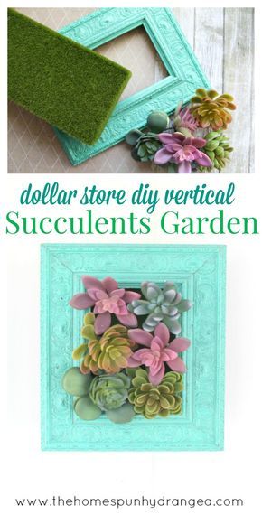 Succulents In Picture Frame, Succulent Diy Ideas Crafts, Spring Decorations For Office, Diy Succulent Wall Decor, Diy Succulent Decor, Whimsical Crafts Diy Projects, Dollar Tree Succulents Diy, Succulent Office Decor, Succulents Crafts