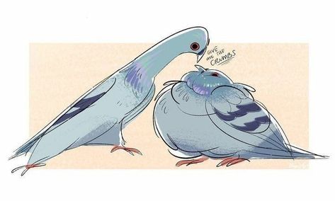 Cute Pigeon, Arte Van Gogh, Parakeets, Silly Animals, Cute Animal Drawings, Cute Doodles, Creature Art, 귀여운 동물, Bird Art