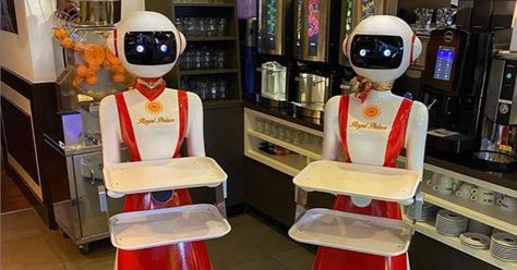 A restaurant in the Netherlands is using creepy robot waiters for social distancing - The Verge Creepy Robot, Anime Restaurant, Kitchen Robot, Robot Restaurant, Framing Design, Star Wars Technology, Robotic Automation, Alien Artwork, Cool Illusions