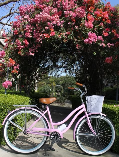 Pink Bycicle Vintage Bicycles, Bicycle For Women, Cute Bikes For Women, Pink Bicycle Aesthetic, Pink Beach Cruiser, Cute Bikes, Cruiser Bike Basket, Beach Cruiser Bikes Women, Spring Bike