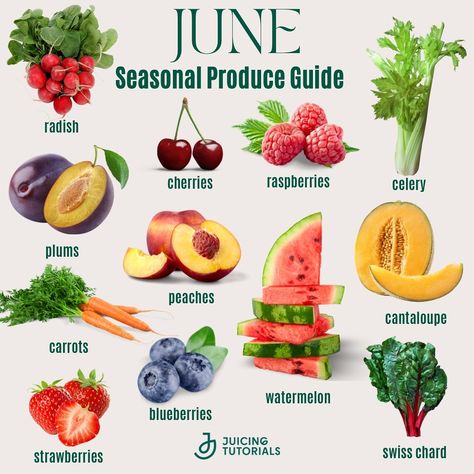 Seasonal Produce Guide, Gerd Diet, Crunchy Moms, Seasonal Produce, Healthy Food Facts, Eat Seasonal, Juice Recipes, Alkaline Foods, Health Coaching