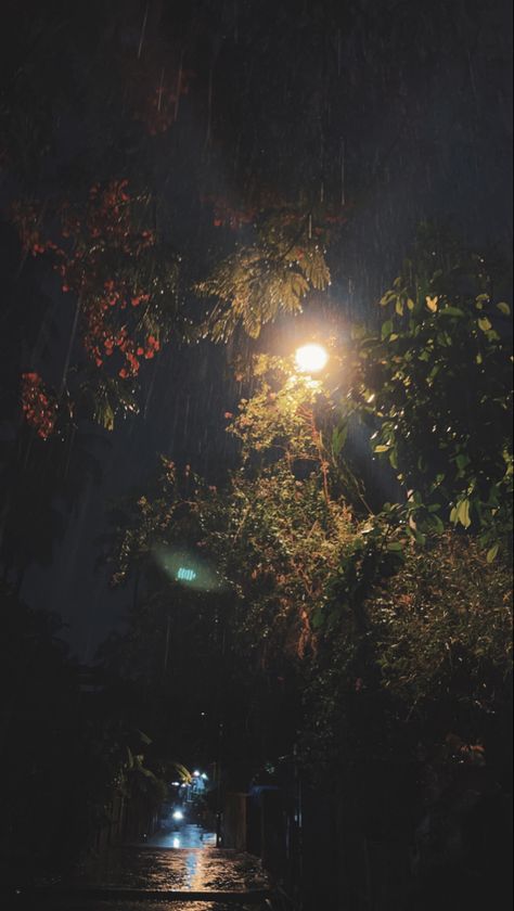 Rain Snaps Night, Rain Snap Night, Rain Night Snap, Rain Street Night, Rain At Night Aesthetic, Rainy Night Snap, Rain Aesthetic Night, Night Rain Snap, Rain Night Aesthetic