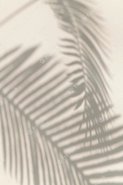 Free Photo | Shadow of palm leaves design element Plakat Design Inspiration, Palm Leaf Design, Fotografi Vintage, Leaves Design, 背景 シンプル, Minimalist Wallpaper, Leaf Nature, Iphone Background Wallpaper, Palm Leaf