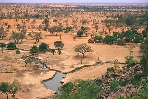 the Sahel is a stretch of land between the Sahara and the savanna when you can find mixes of grassland and small marshes or rivers like the picture I took here. Africa Grassland, Savannah Grasslands, Savanna Grassland, Grass Land, Conservation Of Natural Resources, Save Nature, His Dark Materials, Africa Art, Fantasy City