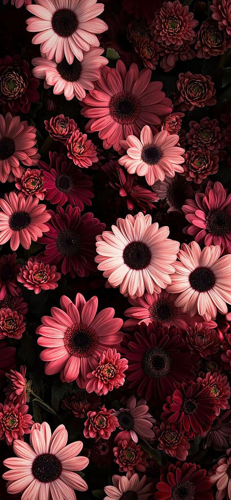 Dark Floral Aesthetic Wallpaper, Best Iphone Lock Screen Wallpaper, Romantic Phone Wallpaper, Aesthetic Wallpaper Lock And Home Screen, Hd Lockscreen Aesthetic, Lockscreen Aesthetic Iphone Wallpapers Dark, Dark Red Iphone Wallpaper, Taken Aesthetic, Pink And Black Aesthetic Wallpaper