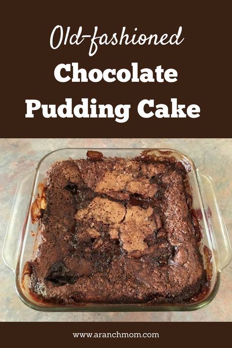 chocolate pudding cake Red Velvet Pudding, Chocolate Pudding Cake Recipe, Easy Chocolate Pudding, Chocolate Pudding Cake, Cake Base, Spend With Pennies, Brownie Desserts, Dessert Party, Oreo Dessert