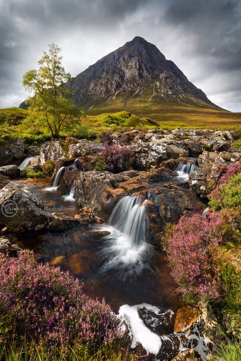 Buachaille Etive Mor. Waterfall and Heather. Glen Etive. North West Highlands. Scotland. Glen Etive, Best Landscape Photography, Glencoe Scotland, Scotland Landscape, Scottish Landscape, West Highlands, Scenic Landscape, Places Around The World, Land Scape