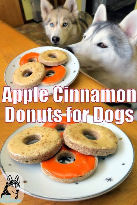 Donuts For Dogs, Lou Dog, Pet Treats Recipes, Easy Dog Treat Recipes, Cinnamon Donuts, Dog Biscuit Recipes, Diy Donuts, Easy Dog Treats, Healthy Dog Treats Homemade