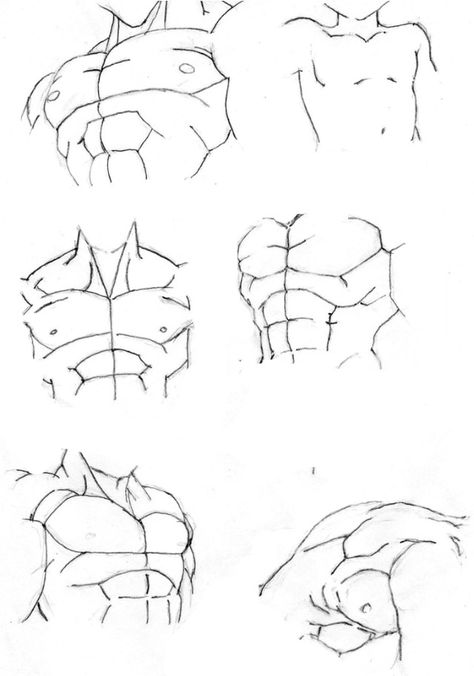 Dragon Ball Male front Tutorial. #SonGokuKakarot Drawing Bodies, Dbz Drawings, 3d Dragon, Ball Drawing, Compression Shirts, Human Anatomy Art, Dragon Ball Super Art, Body Reference Drawing, Dragon Ball Super Manga