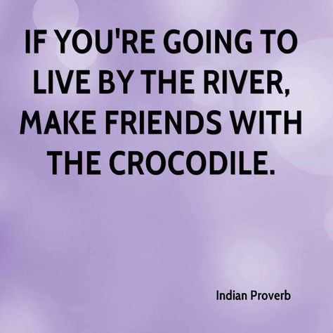 If you’re going to live by the river, make friends with the crocodile. Indian proverb Crocodile Quotes Life, Crocodile Quotes, Brainstorming Quotes, Desktop Inspiration, Abundant Mindset, Proverb Quotes, Wise Proverbs, Indian Proverbs, Indian Quotes