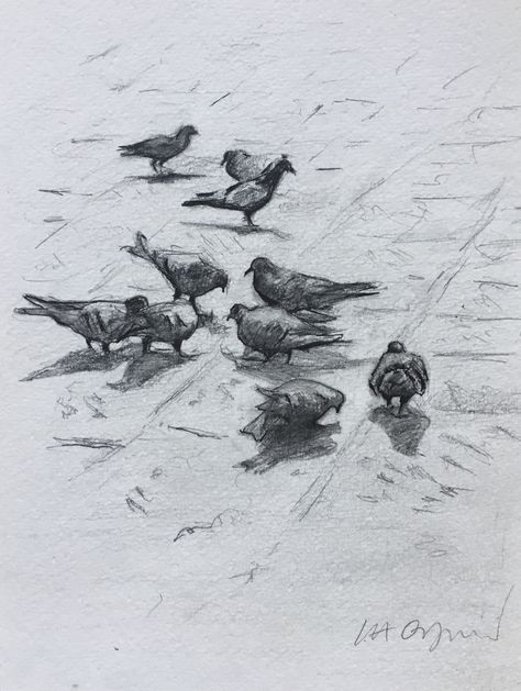 Pigeon Art Drawing, Pigeons Drawing, Pigeon Reference, Pigeon Sketch, Pigeon Painting, Pigeon Drawing, Pigeon Art, Pigeon Bird, Drawing Cartoon Faces