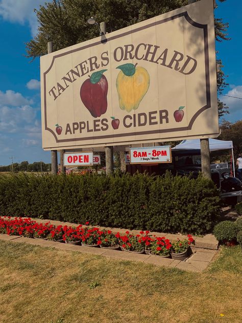 Orchard Aesthetic Vintage, Apple Jack Aesthetic, Fall Apple Aesthetic, Apple Cider Aesthetic, Brie Core, Apple Farm Aesthetic, Apple Orchard Aesthetic, Orchard Aesthetic, Apple Picking Aesthetic