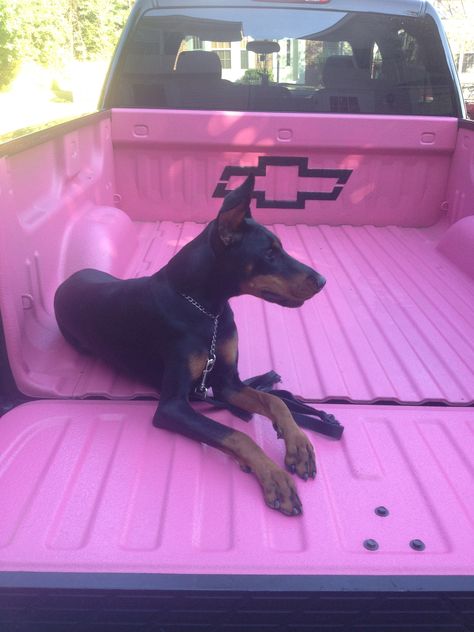 truck bed liner! In mint though - Minus this being a Chevy! Truck Exterior Ideas, Cute Trucks For Women, Chevy S10 Truck Ideas, Truck Interior Decor, Pretty Trucks, Girl Truck Accessories, Cute Trucks, Chevy Cat Eye Truck, Pink Classic Truck