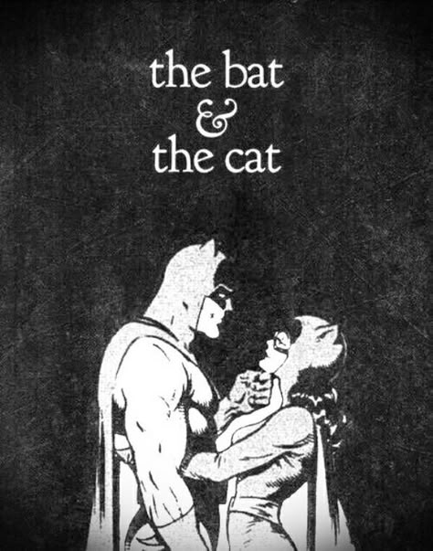 Batman And Catwoman Comic Art, Cat Woman And Batman, Cat Woman Aesthetic, The Bat And The Cat, Bat And The Cat, Batman Love, Catwoman Comic, Catwoman Cosplay, Batman And Catwoman