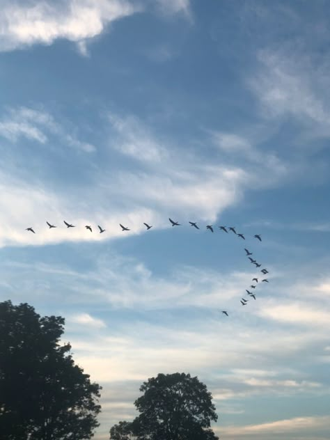 Birding Aesthetic, Bird Watching Aesthetic, Daydreamer Aesthetic, Birds Flying Photography, Aesthetic Birds, Birds Aesthetic, October Celebrations, Moon Pisces, Birds In Nature