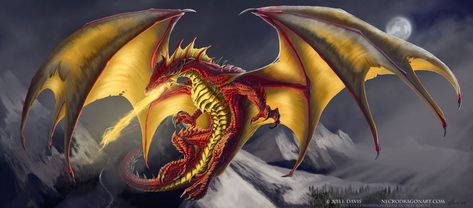 Golden Dragon | Commish. Red and Gold Dragon by drakhenliche Red And Gold Dragon, Magical Wolf, Dragon Energy, Dragon Graphic, Dragon Heart, Dragon Sketch, Golden Red, Beautiful Dragon, Game Of Thrones Art