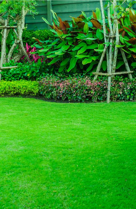 Lawn Design Ideas, Decorate Cubicle At Work, Small Backyard Decks, Backyard Decks, Grass Background, Lawn Mowing, Lawn Design, Lawn Care Tips, Garden Decor Ideas