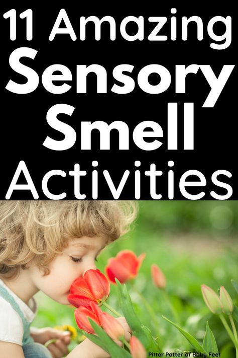 sensory smell activities, sensory smell bottles, sensory smell jars, sensory smell ideas, sensory smell activities toddlers, sensory smells for toddlers, sensory smell activities for preschool, sensory smell activities kids Smell Activities For Toddlers, Olfactory Sensory Activities, Smell Sensory Activities, Smell Sense Activities Preschool, Smell Activities Preschool, Smell Activities, Sensorimotor Activities, Kids Sensory Activities, Sensory Activities For Preschoolers