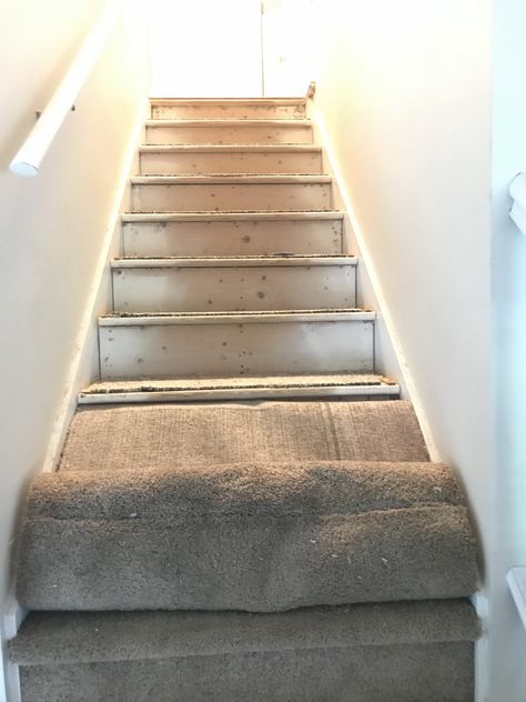 Remove Carpet from Stairs & Staining: Do It Yourself - PrepFord Wife Removing Carpet From Stairs And Painting, Take Carpet Off Stairs, Removing Stair Carpet, Remove Carpet From Stairs Diy, How To Remove Carpet From Stairs, Remove Carpet From Stairs, Finish Stairs, Stairwell Window, Finishing Stairs