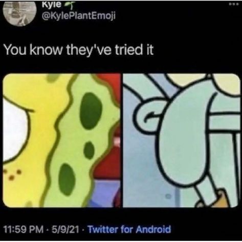 Cursed Memes, Spongebob Memes, Pinterest Memes, Spongebob Squarepants, Really Funny Pictures, Funny Me, Reaction Pics, Haha Funny, Funny Laugh