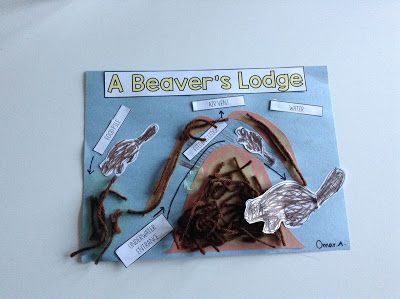 Beaver Habitat, Beaver Scouts, Beaver Lodge, Habitats Projects, Animals In Winter, Canadian Animals, Cousin Camp, Art Activities For Toddlers, Land Animals