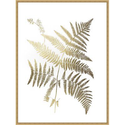 Ashton Wall Décor LLC Trends 'Gold Foil Ferns I' Framed Graphic Art Ski Lodge Decor, Pallet Ideas Easy, Wooden Pallet Furniture, Floor Cabinet, Frame Crafts, Metallic Foil, Wooden Pallets, Wall Patterns, Posters And Prints