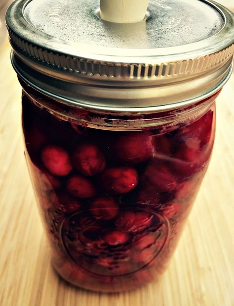 cranberries finished fermenting Fermented Cranberries, Canned Cranberries, Fermented Honey, Winter Baking, Canning Recipe, Healthy Probiotics, Fermentation Recipes, Cranberry Recipes, Ginger And Honey