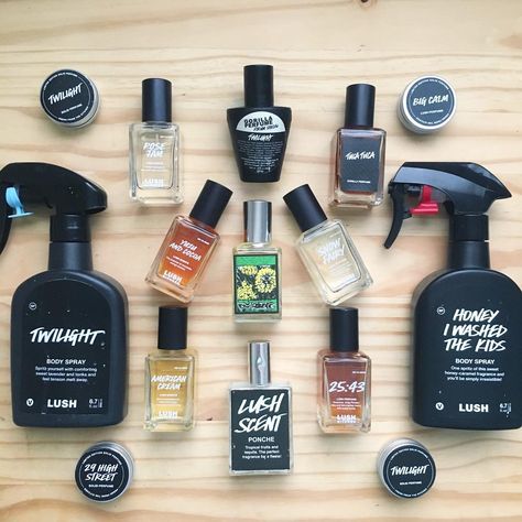 Here’s my entire Lush perfume collection which includes the body sprays, liquid perfumes, and solid perfumes. Spot any of your favorites? 💖… Lush Perfume, Lush Collection, Best Lush Products, Perfume Versace, Merch Clothing, Fragrance Tester, Acid Bath, Girly Tips, Annick Goutal