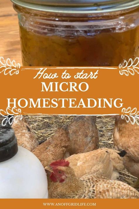 Vegan Homesteading, Micro Homesteading, Off Grid Homestead, Micro Farm, Modern Homesteading, Homesteading Skills, Urban Homesteading, Seed Saving, Sustainable Garden