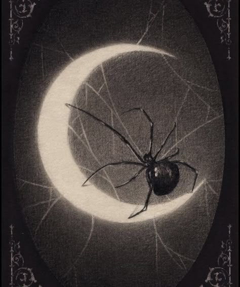 Aesthetic Spider, Moon Spider, Drawing Ideas Aesthetic, Goth Spider, 4k Wallpaper Android, Spider Illustration, Vintage Spider, Spider Art, The Addams Family